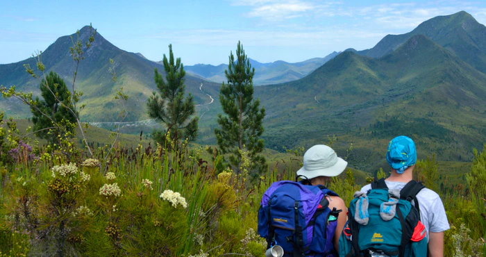 Dapper en Stapper deur die Tsitsikamma