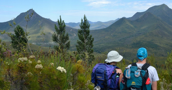 Dapper en Stapper deur die Tsitsikamma