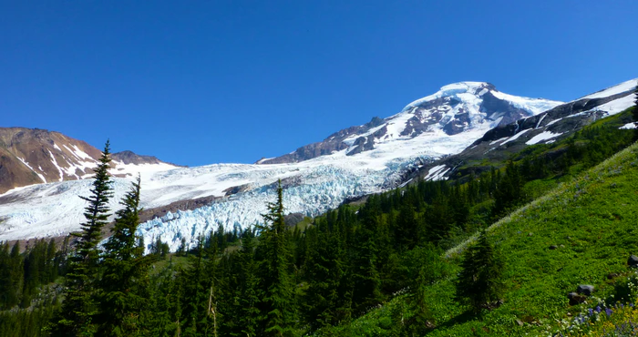 Of Hobbits and Horses: Having a look at Hogsback