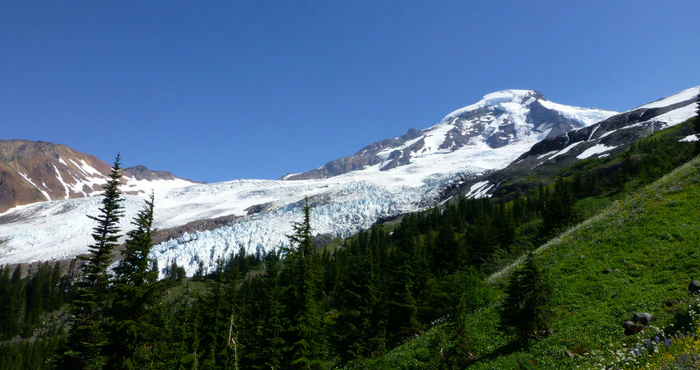 Of Hobbits and Horses: Having a look at Hogsback