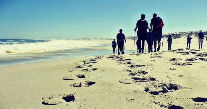 Stories en Seesand: Slenterstap langs die Weskus