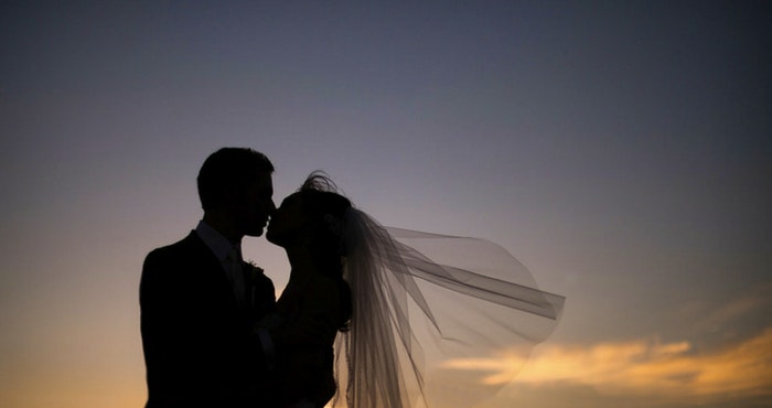 ’n Wittebrood vir Elke Sak en Gier