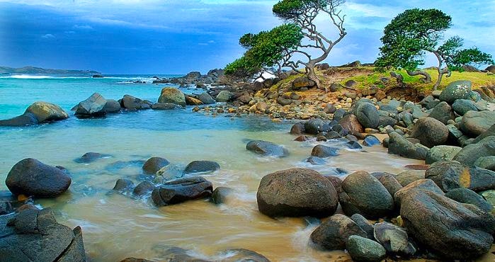 5 Wonderful reasons to visit the Wild Coast