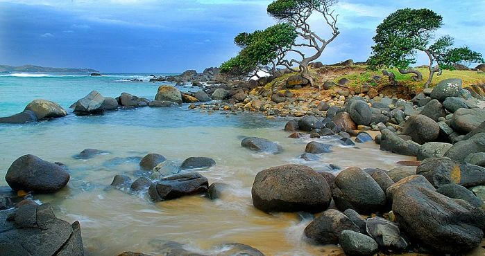 5 Wonderful reasons to visit the Wild Coast