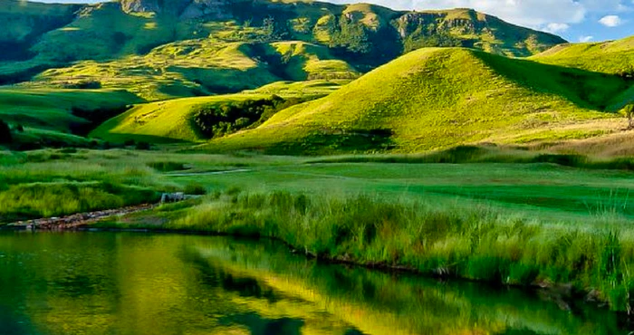 Go green and off-the-grid