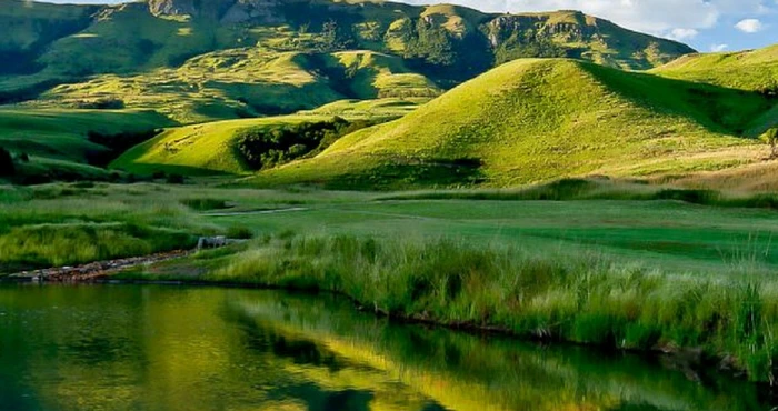 Go green and off-the-grid