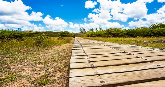 St Lucia: ’n Ware Afrika-paradys met Duisende Doendinge!