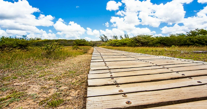 St Lucia: ’n Ware Afrika-paradys met Duisende Doendinge!