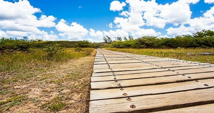 St Lucia: ’n Ware Afrika-paradys met Duisende Doendinge!