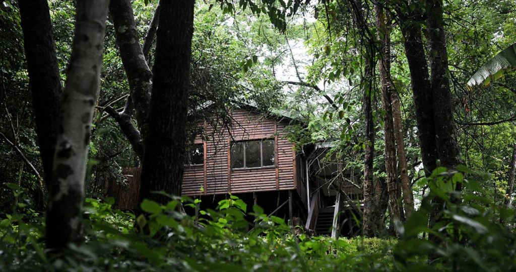 15 Betowerende Woudwegbreke in Limpopo