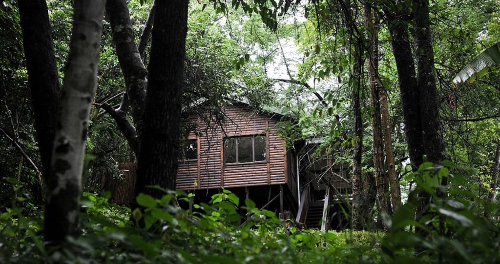 15 Betowerende Woudwegbreke in Limpopo