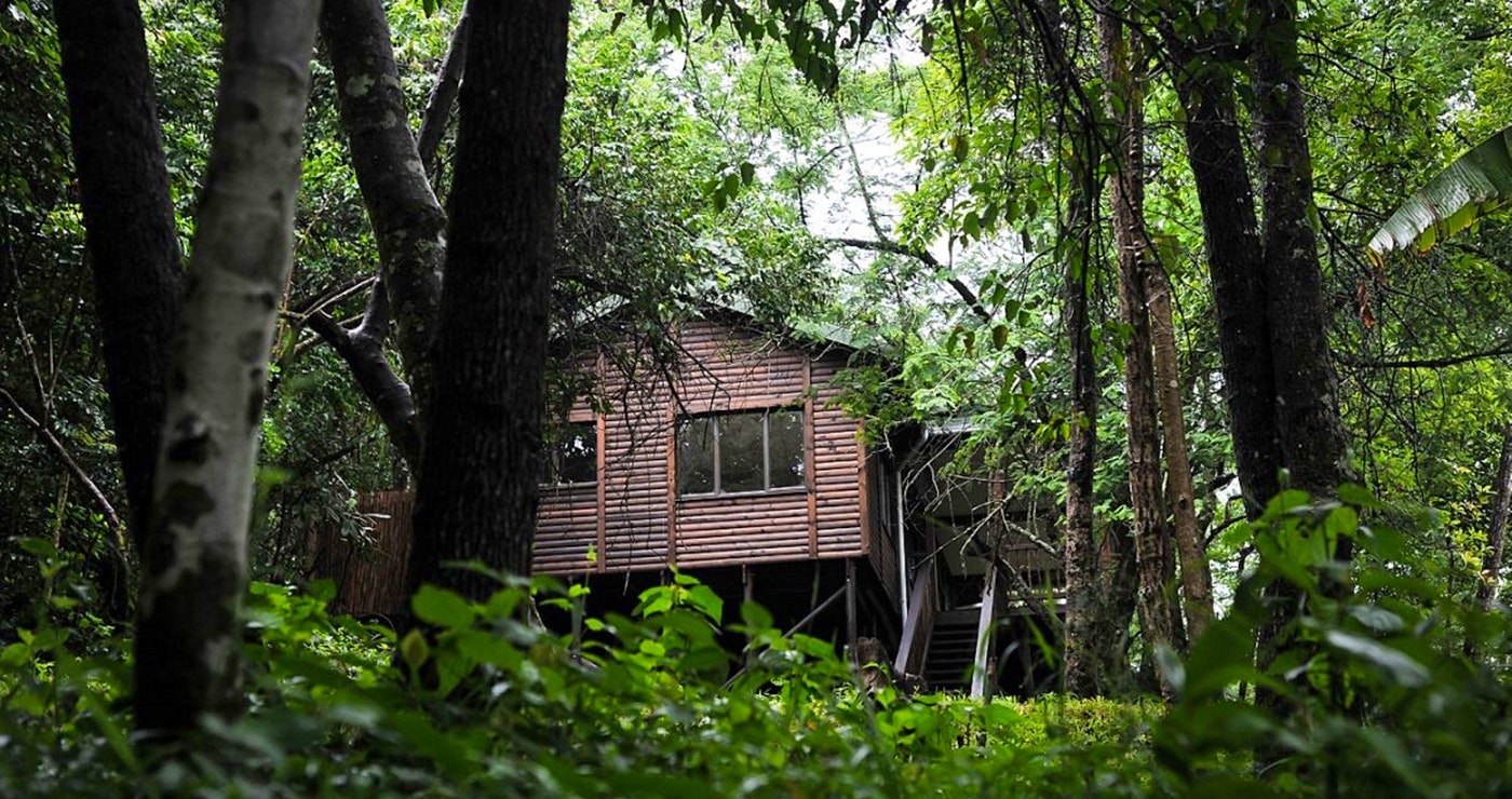 15 Betowerende Woudwegbreke in Limpopo