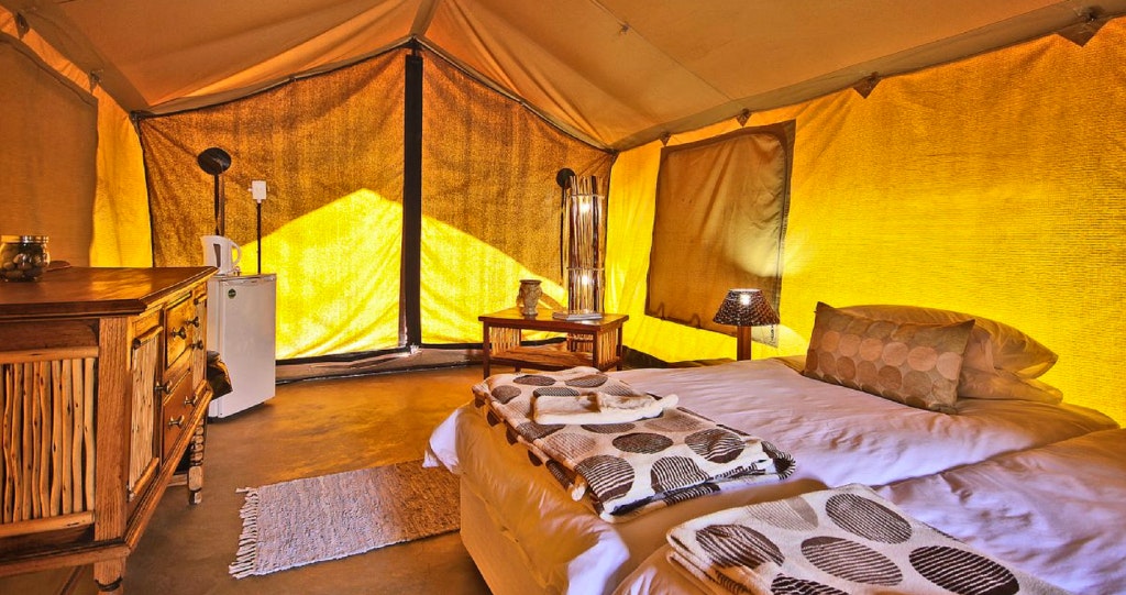 These open-plan tents are comfortable and convenient | Photo: TravelGround. 