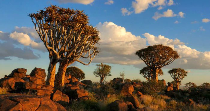 ’n Gids tot Augrabies