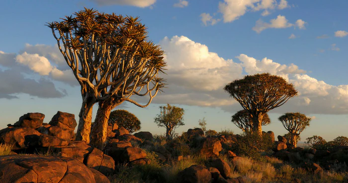 ’n Gids tot Augrabies