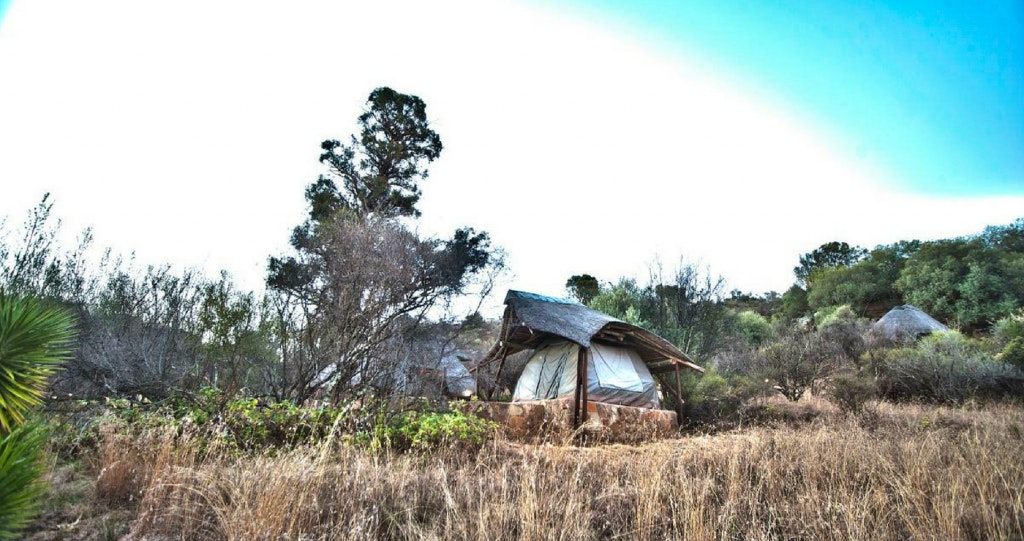 Letsatsi Game Lodge | Photo: LekkeSlaap.