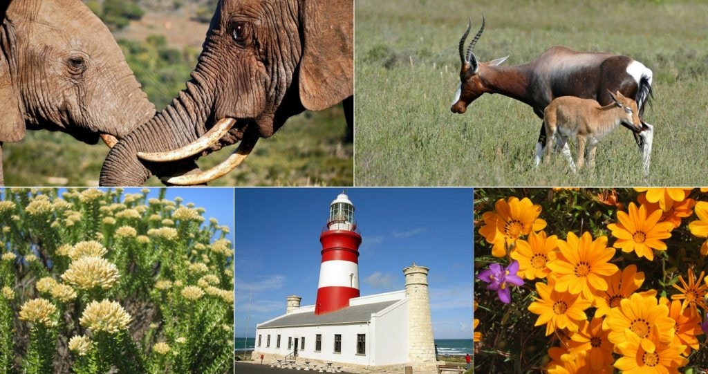 Ons kitsgids tot SA se SANParke