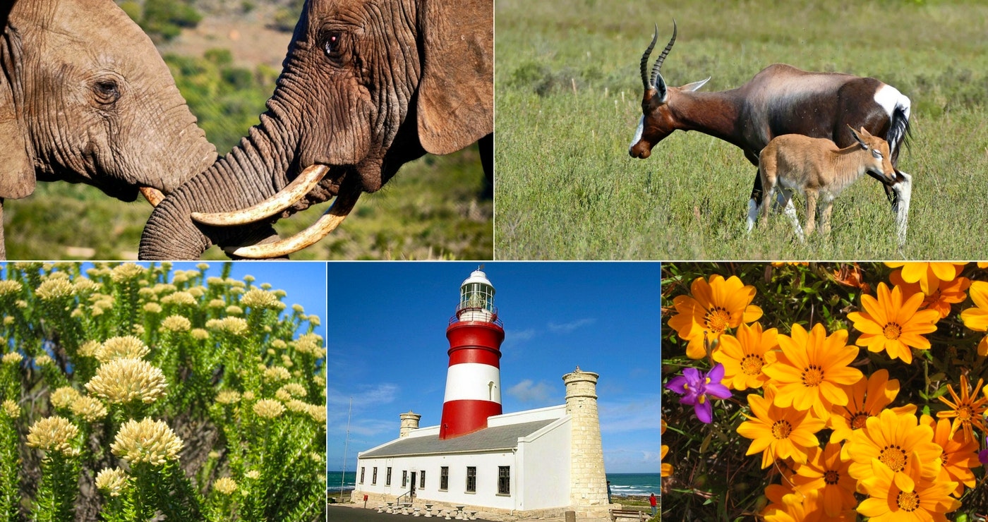 Ons kitsgids tot SA se SANParke