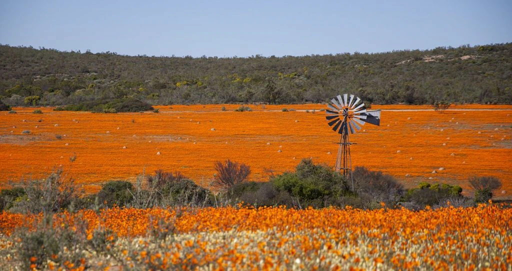 9 Luisterryke Lentebestemmings