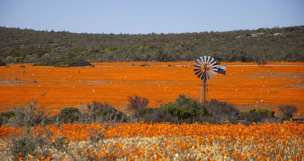 9 Luisterryke Lentebestemmings