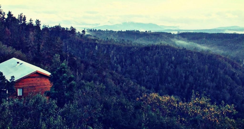 Stay at these Fairy Tale Forests