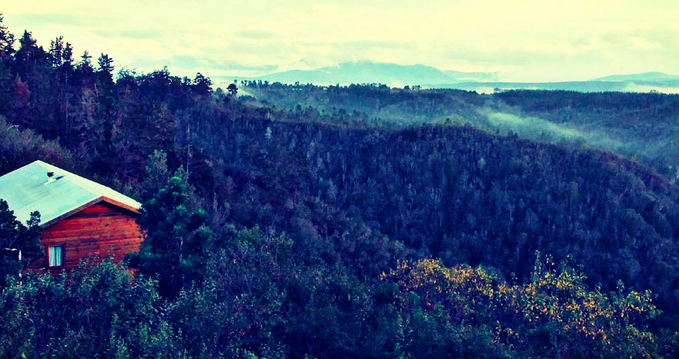 Stay at these Fairy Tale Forests