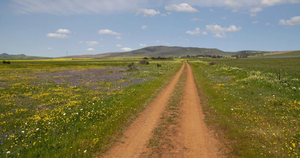 ’n Dag of Drie in Darling