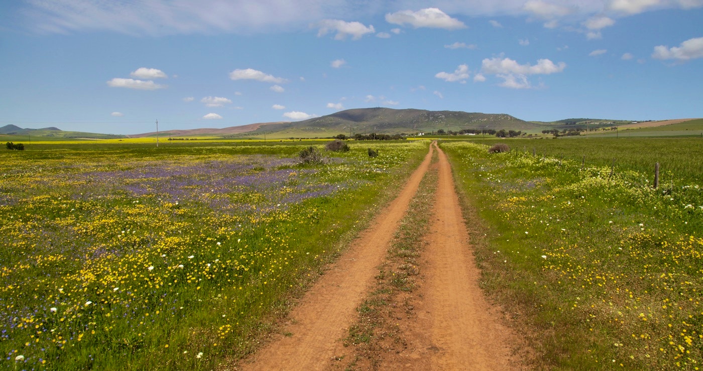 ’n Dag of Drie in Darling