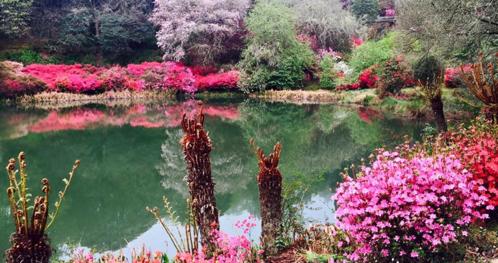 Spring Festival 2017: Discover the Magic of Magoebaskloof