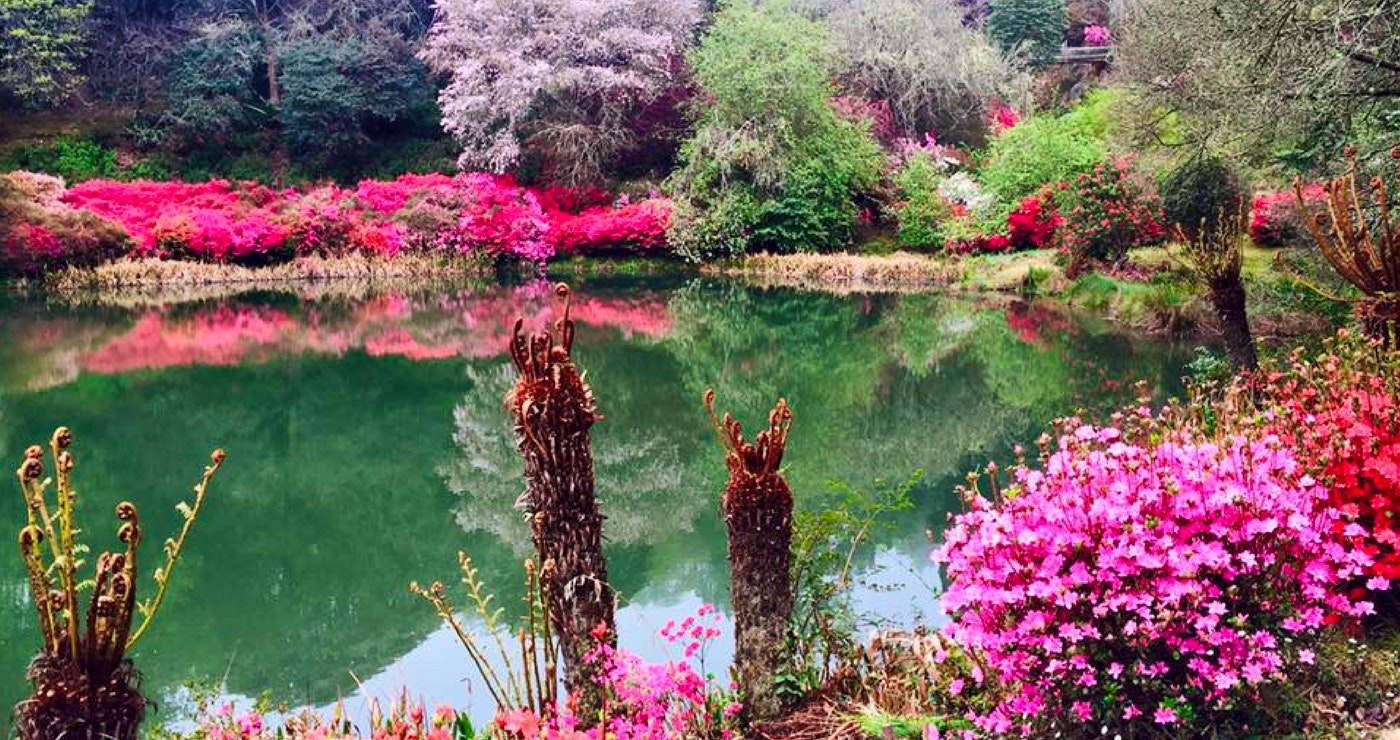 Spring Festival 2017: Discover the Magic of Magoebaskloof