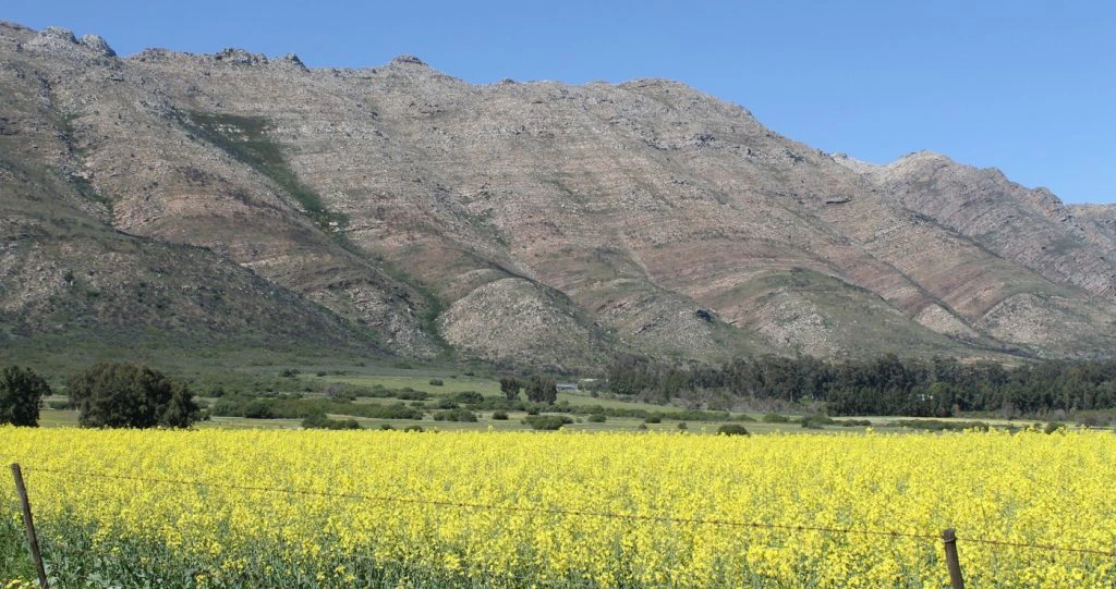 Porterville: Hemel op die Platteland