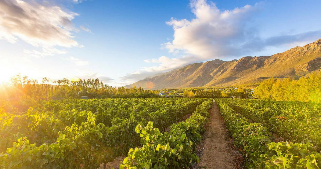 Tranquil Farm Stays in the Western Cape