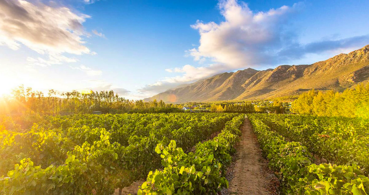 Tranquil Farm Stays in the Western Cape