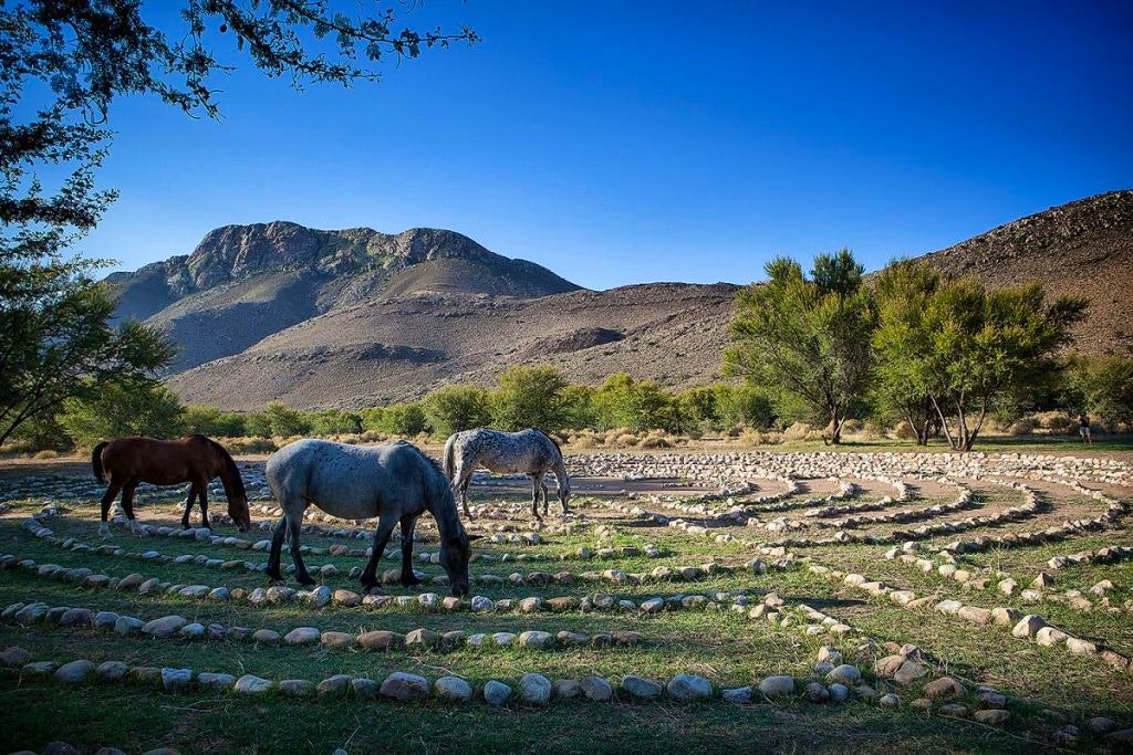 The labyrinth and horses at Onse Rus Guest House | Photo: TravelGround.