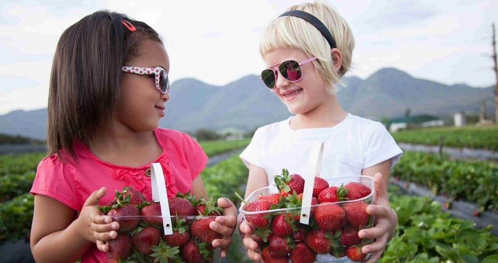 Fun Family-Friendly Stops along the Garden Route