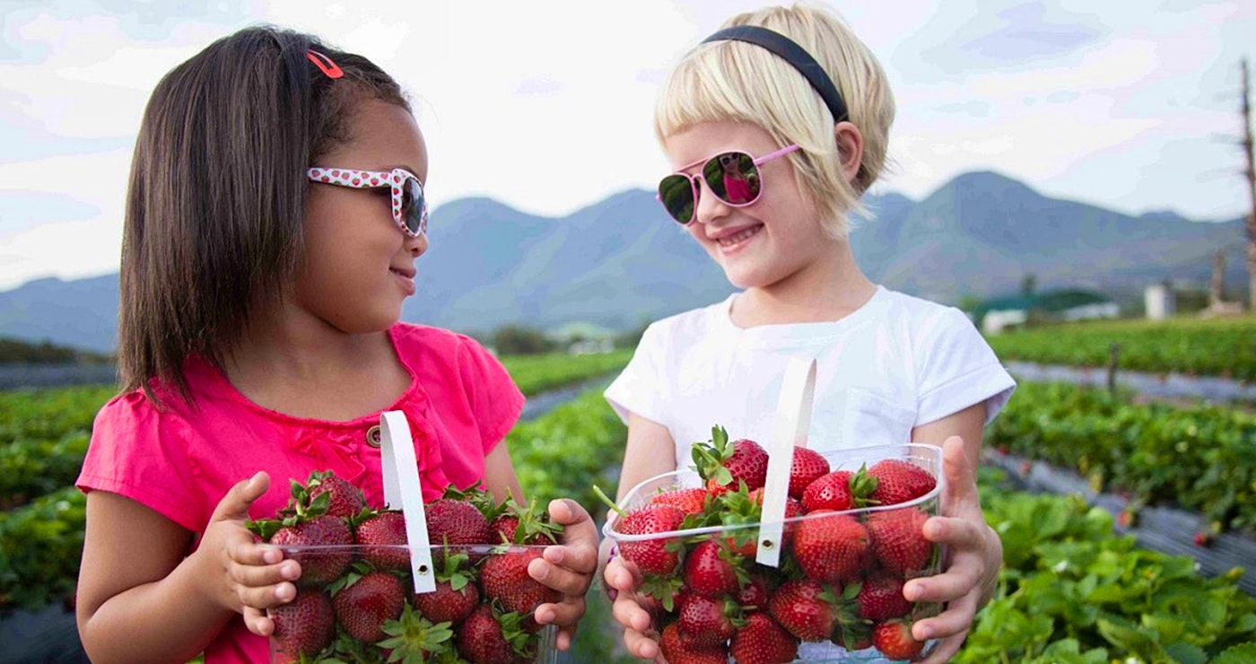 Fun Family-Friendly Stops along the Garden Route