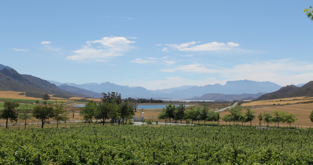 Verken Vrolike Villiersdorp: 6 Gesinsvriendelike Doendinge