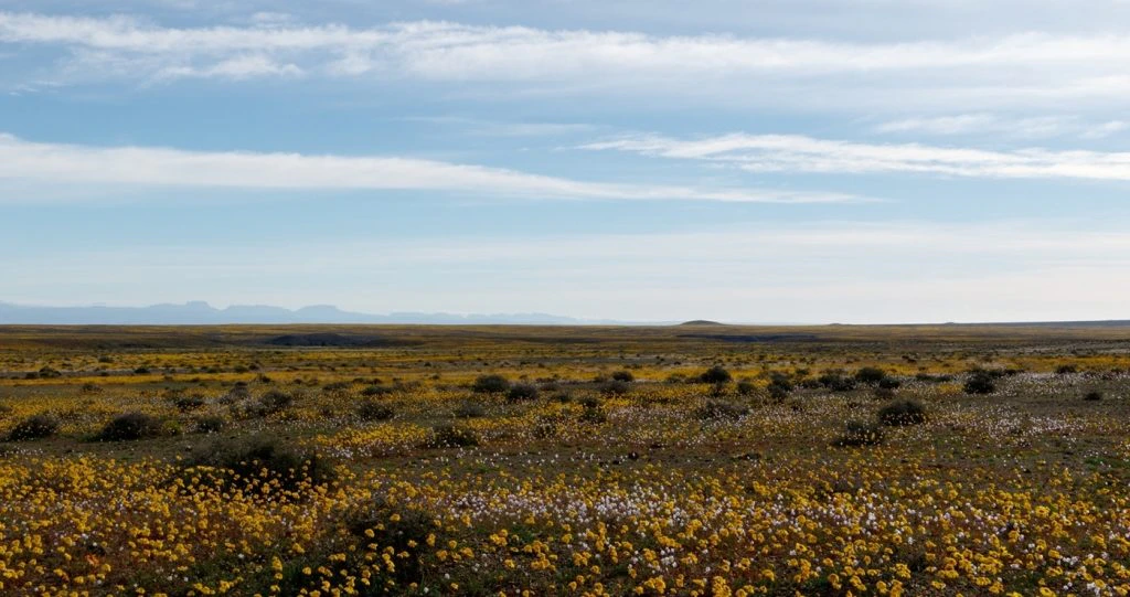 Traverse the Terrific Tankwa Karoo