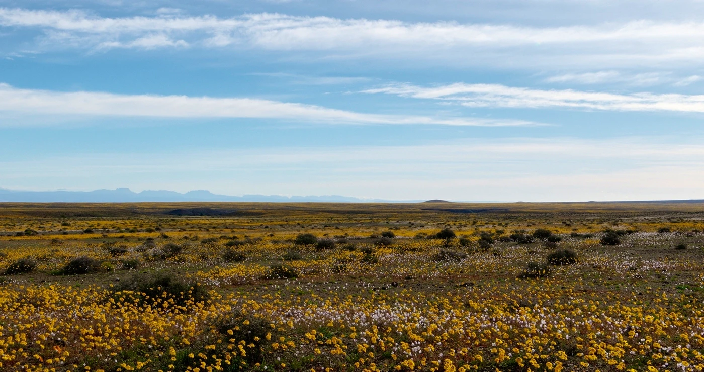 Traverse the Terrific Tankwa Karoo
