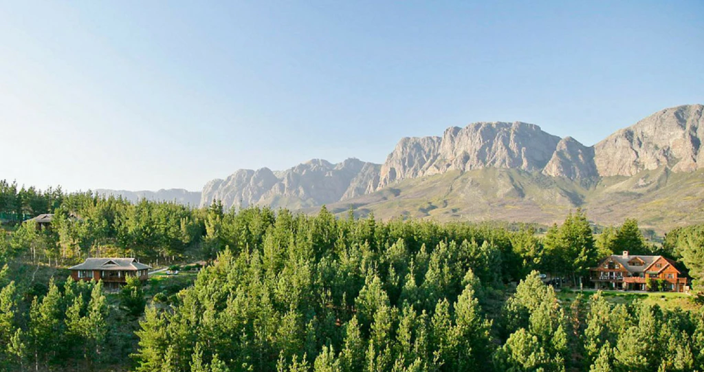 Fun-filled Family Outings in Somerset West