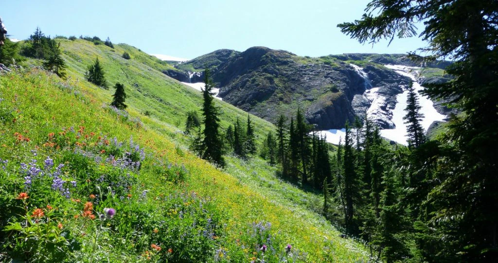 Vier Elke Seisoen in Hogsback