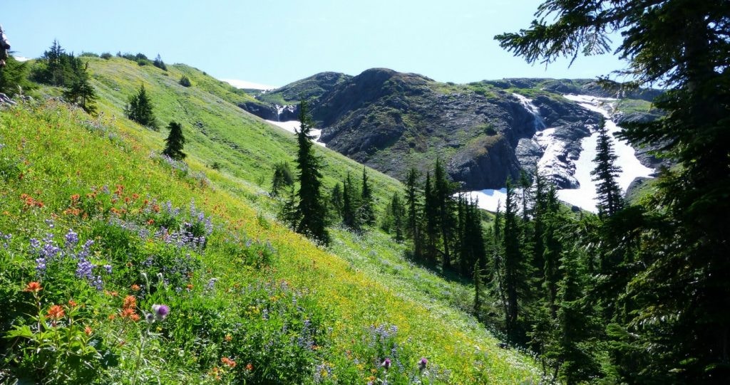 Vier Elke Seisoen in Hogsback