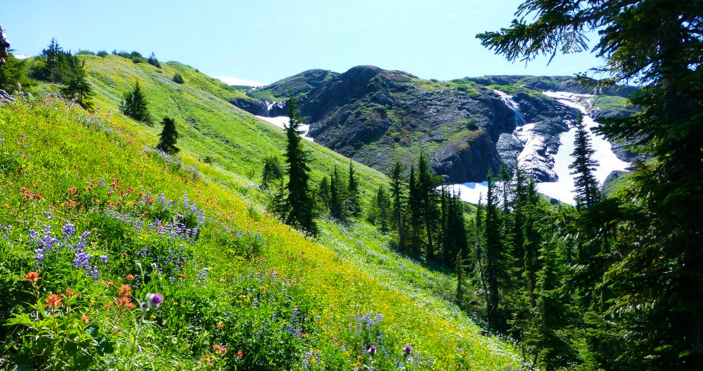Vier Elke Seisoen in Hogsback