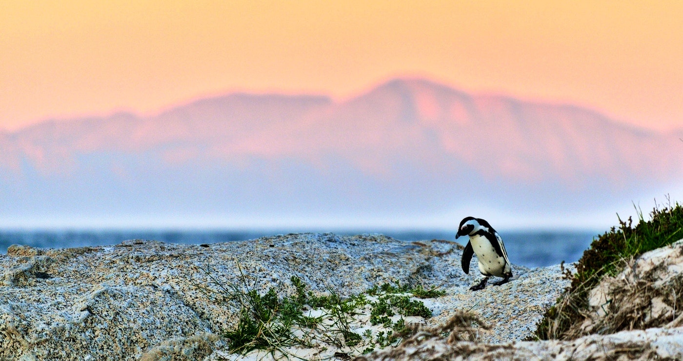 Sustainable Travel Tips for South Africa