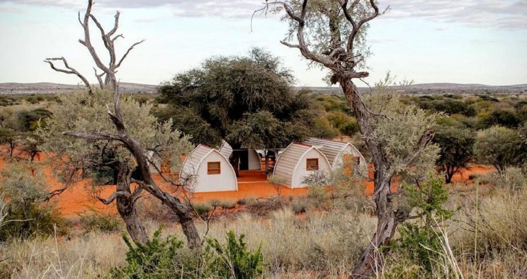 Into the Wild: 7 Kalahari Stays