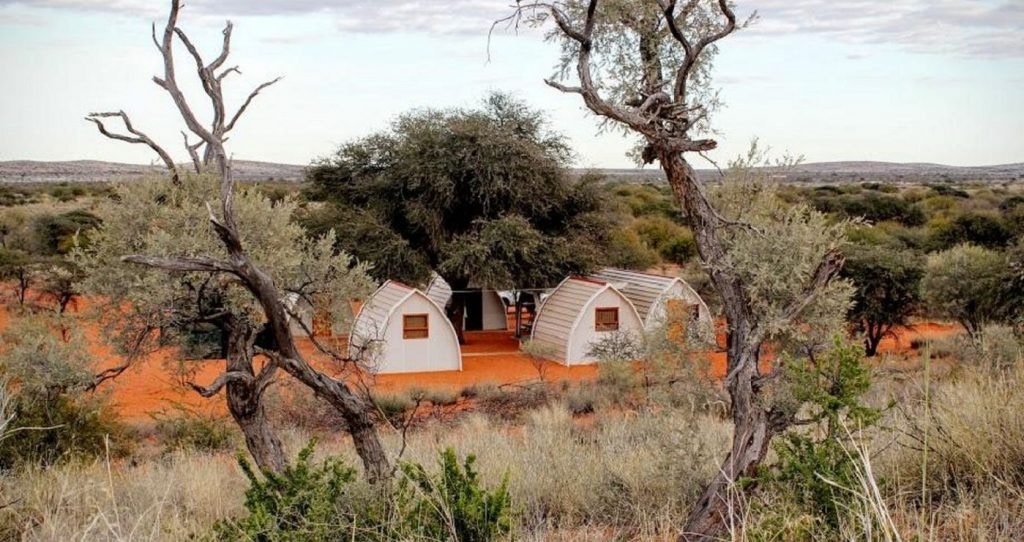 Into the Wild: 7 Kalahari Stays