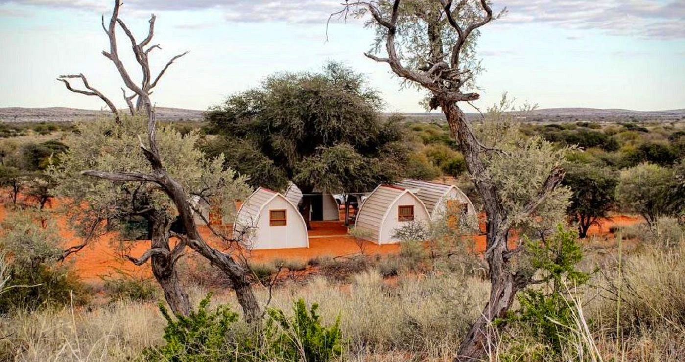 Into the Wild: 7 Kalahari Stays