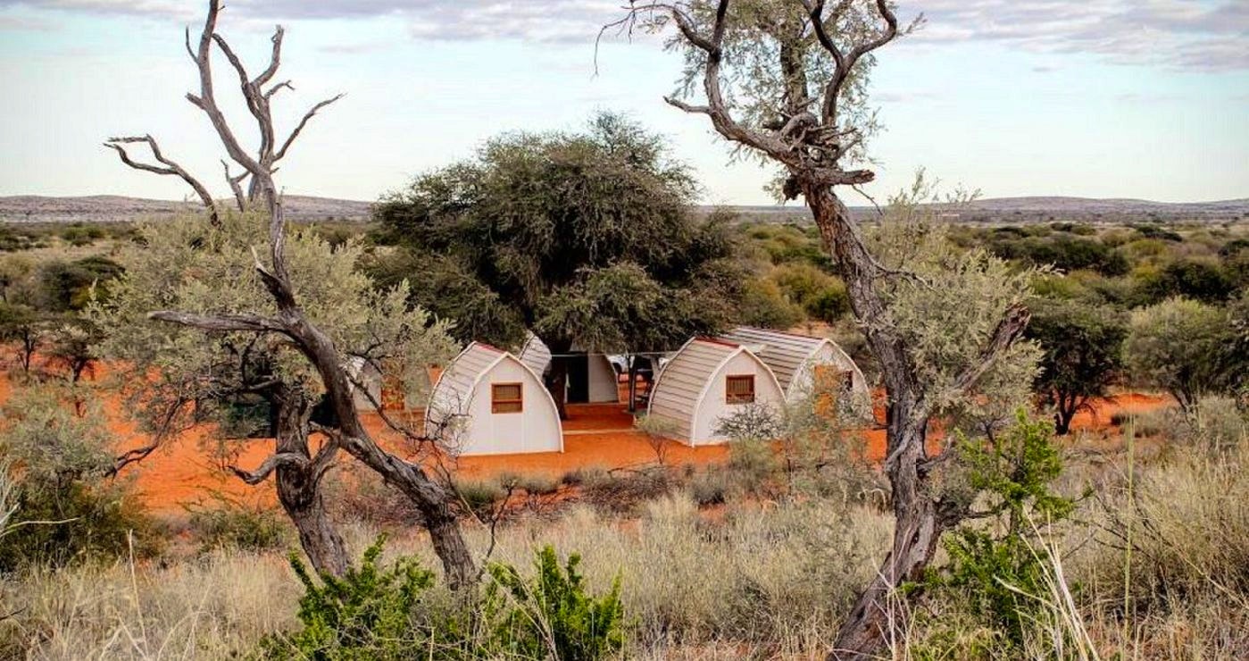 Into the Wild: 7 Kalahari Stays