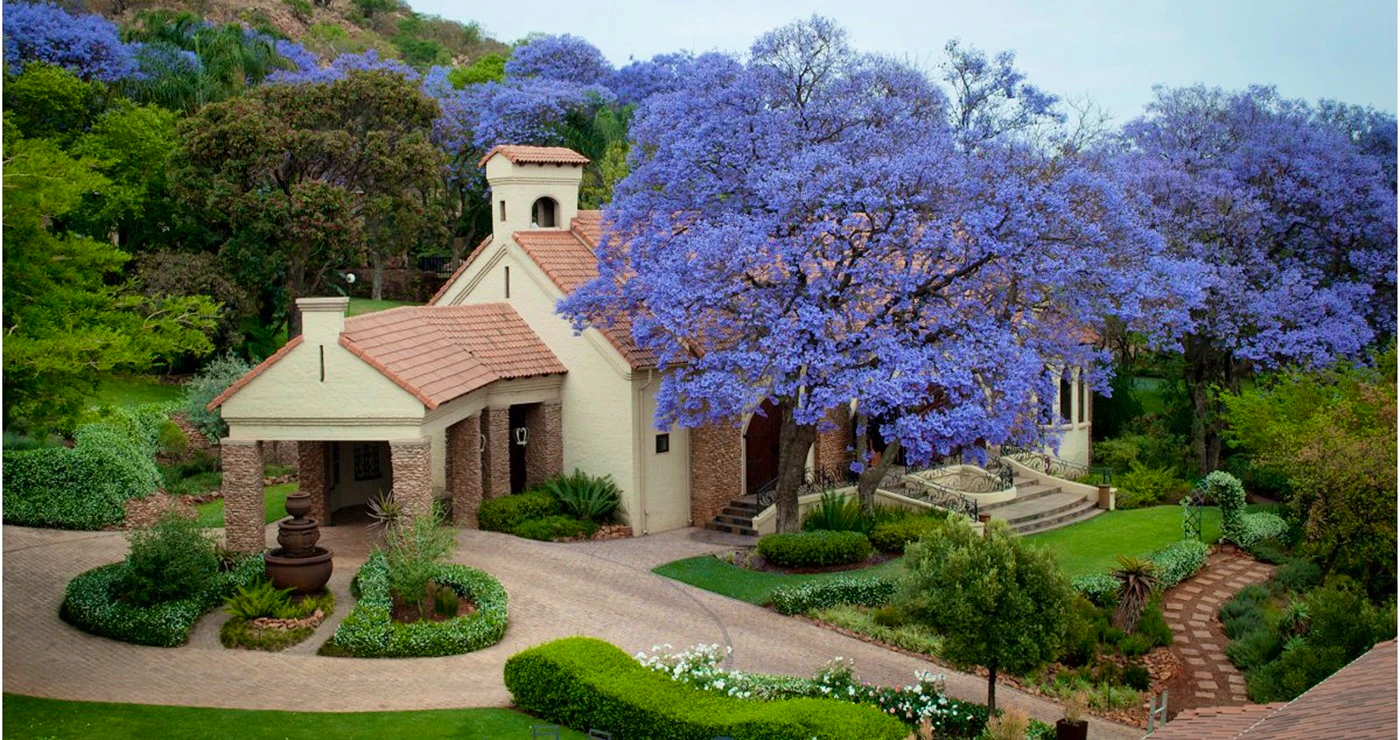 Jou A-Z van Trou-Venues in Gauteng