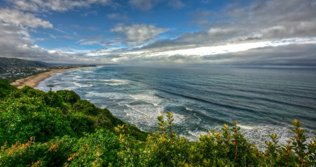 Live on the Wild Side in Wilderness